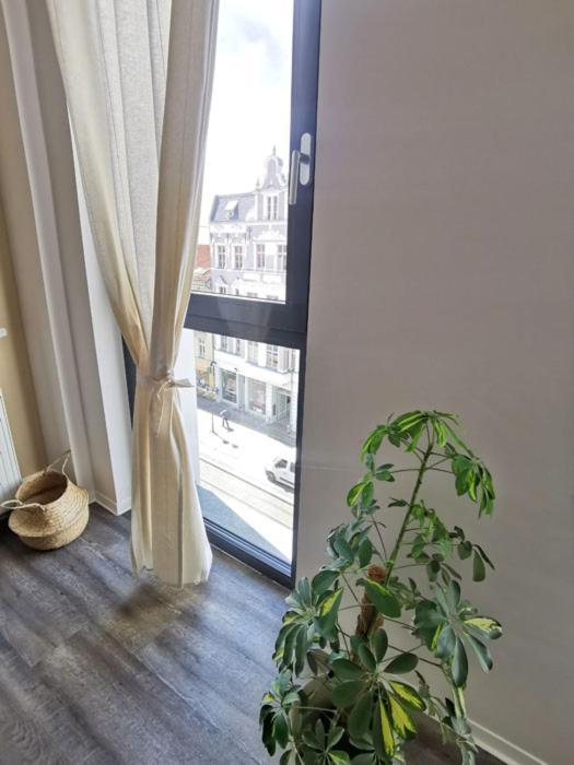 Appartement Havel Harmonie Brandenburg (Brandenburg an der Havel)