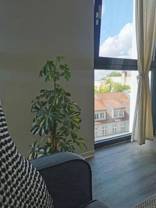 Appartement Havel Harmonie *